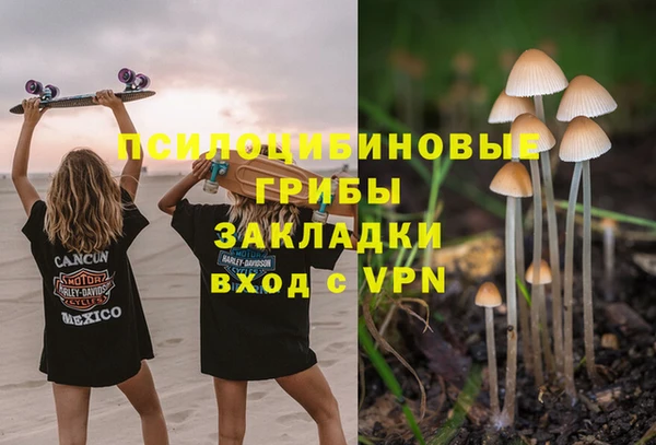 тгк Балахна